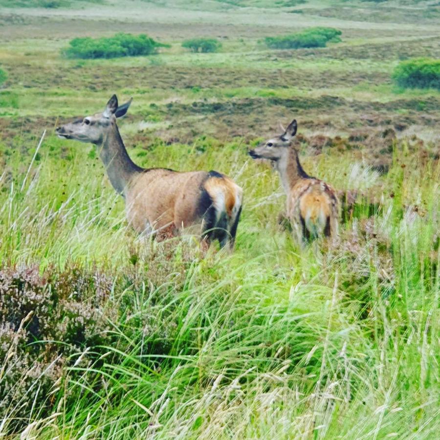 Vila Deer Green Place Kinloch Exteriér fotografie